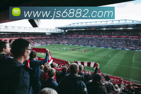 金沙国际官网平台生态图